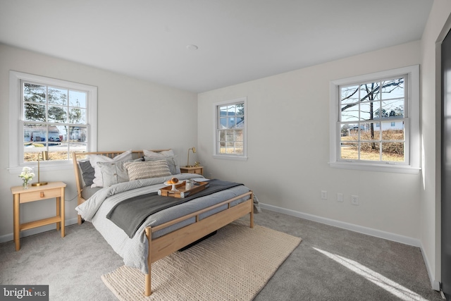 bedroom with multiple windows and carpet floors