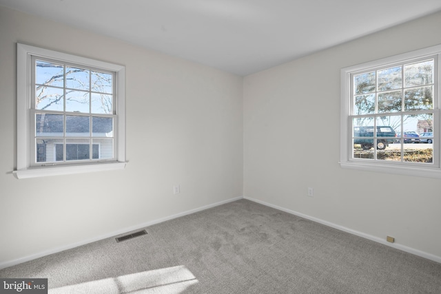 carpeted empty room featuring a wealth of natural light