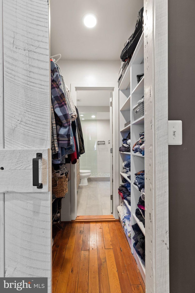 walk in closet with hardwood / wood-style floors