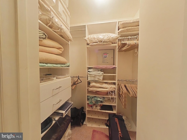 view of walk in closet