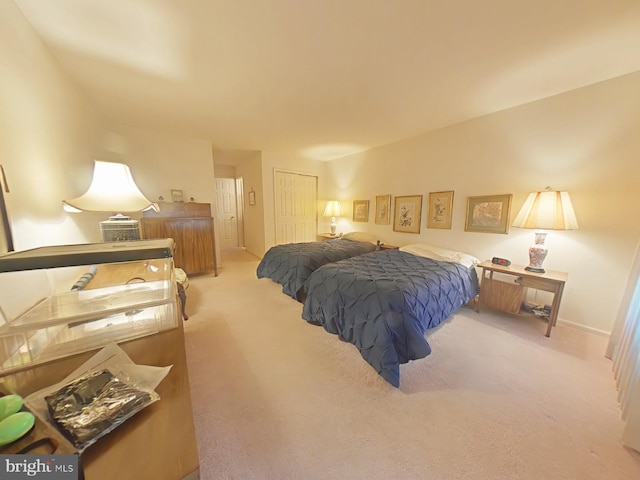 carpeted bedroom featuring a closet