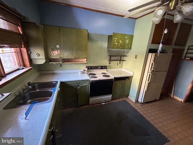 kitchen with electric stove, sink, ceiling fan, and white fridge