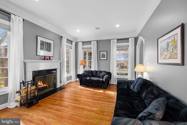 living room featuring crown molding and wood-type flooring