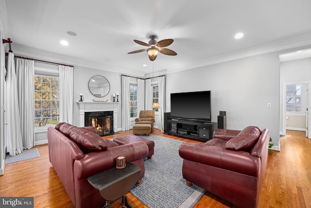 living room featuring light hardwood / wood-style flooring and plenty of natural light