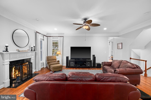 living room with a premium fireplace, ornamental molding, ceiling fan, and light wood-type flooring