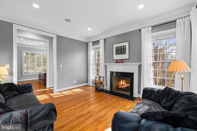 living room featuring crown molding and wood-type flooring