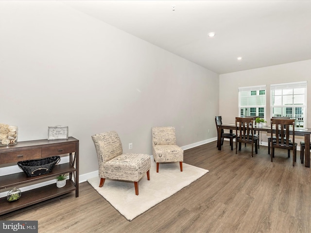 sitting room featuring hardwood / wood-style floors