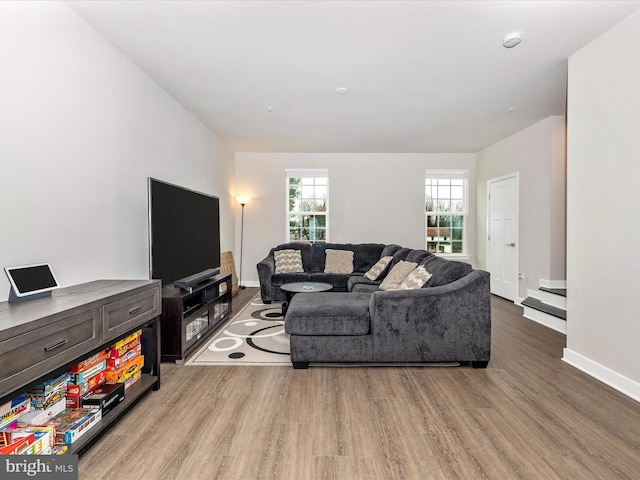 living room with hardwood / wood-style flooring