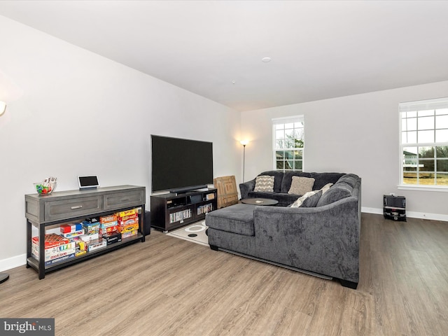 living room featuring light hardwood / wood-style flooring