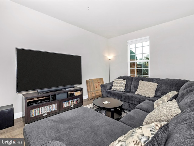 living room featuring hardwood / wood-style flooring