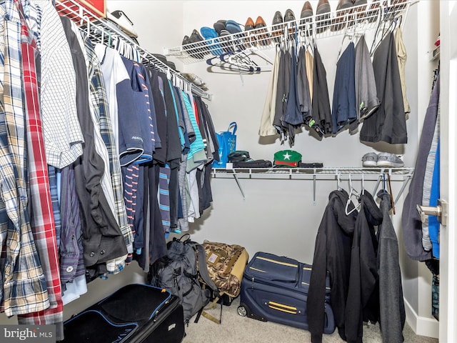 walk in closet featuring carpet flooring