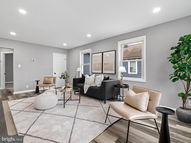 living room with wood-type flooring