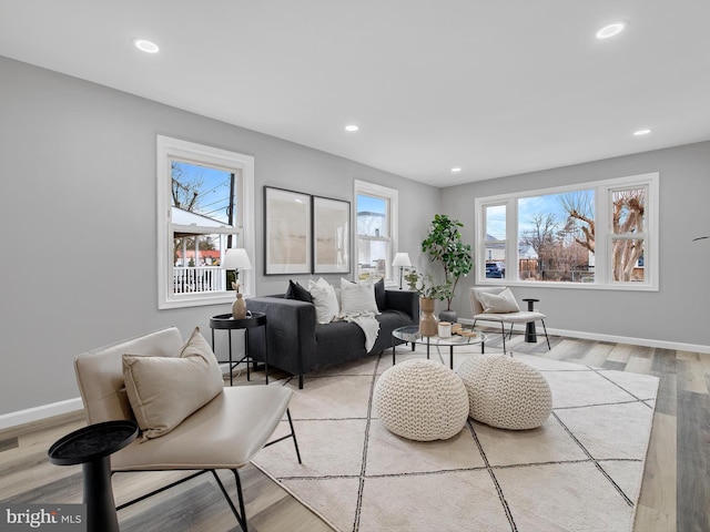 living room featuring light hardwood / wood-style flooring