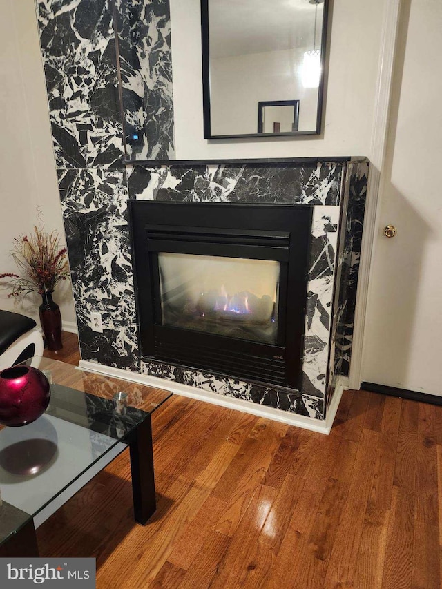 details with wood-type flooring and a high end fireplace