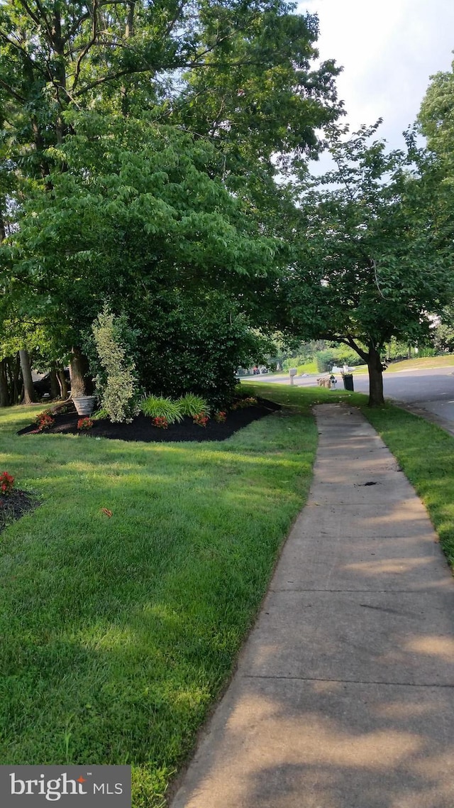 view of community featuring a yard