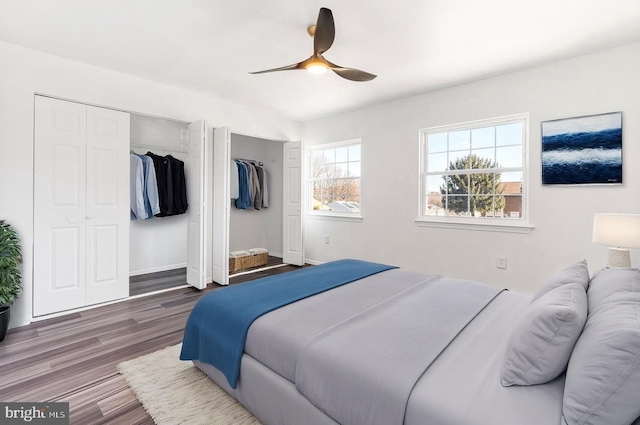 bedroom with dark wood-type flooring, ceiling fan, and two closets