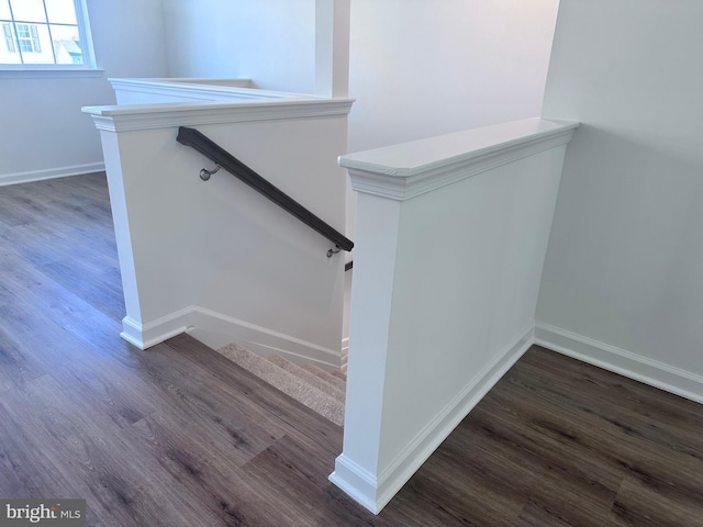 staircase with wood-type flooring