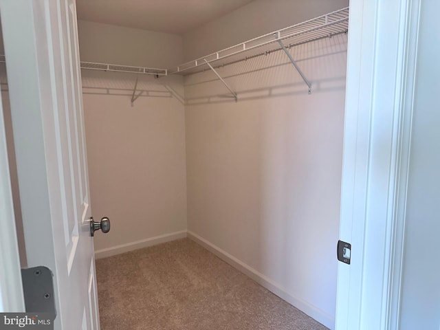 walk in closet featuring light carpet