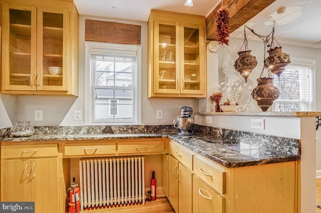 kitchen featuring dark stone countertops and radiator