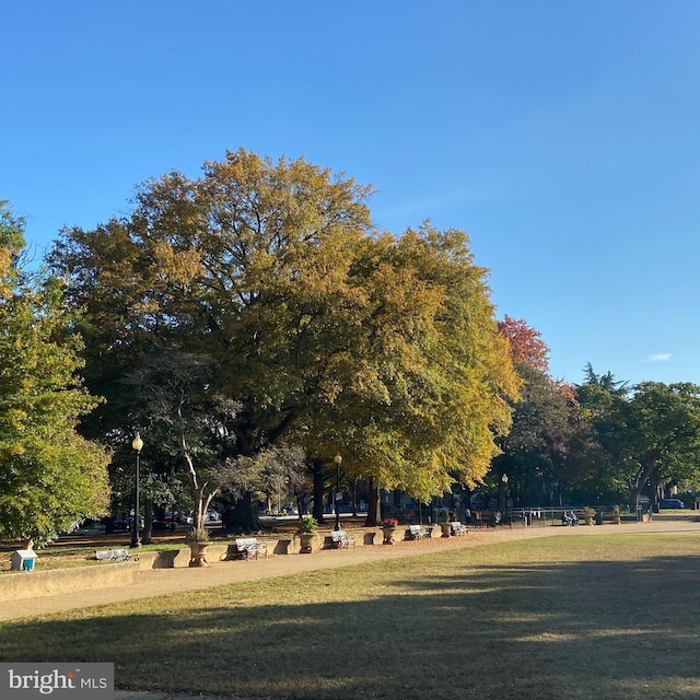 surrounding community with a lawn