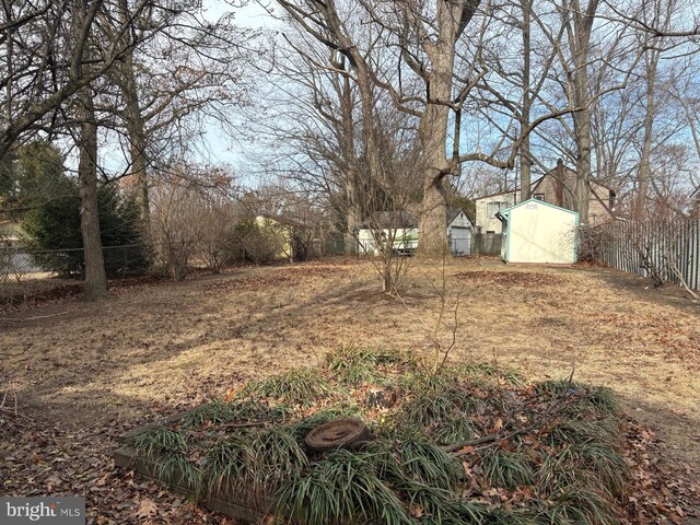 view of yard featuring a shed