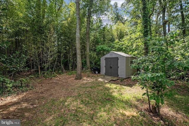 view of yard featuring a storage unit