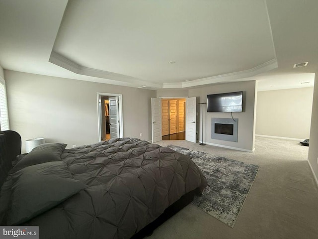 carpeted bedroom featuring a raised ceiling