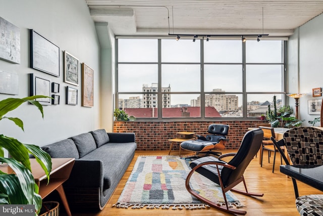 living room featuring rail lighting, light hardwood / wood-style floors, and a wall of windows