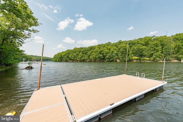 dock with a water view and a forest view
