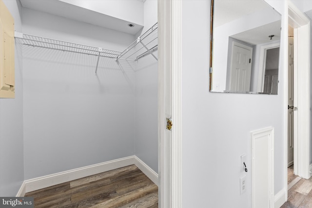 spacious closet with hardwood / wood-style flooring