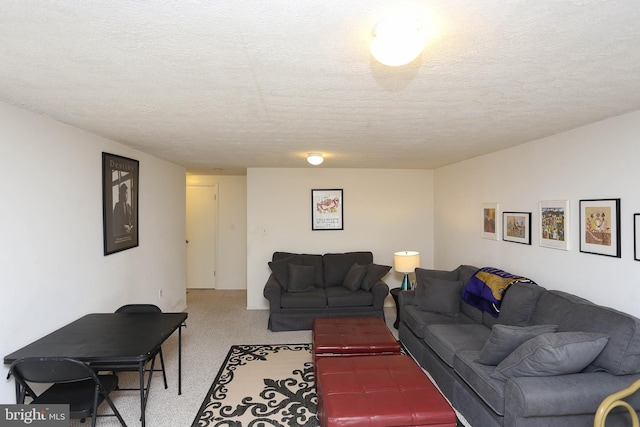 living room with a textured ceiling