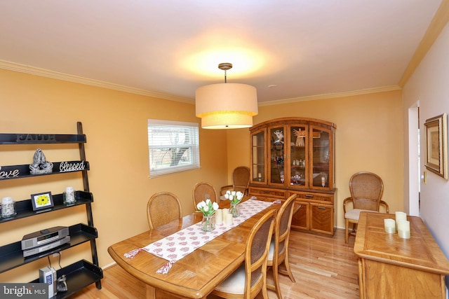 dining room with crown molding and light hardwood / wood-style floors