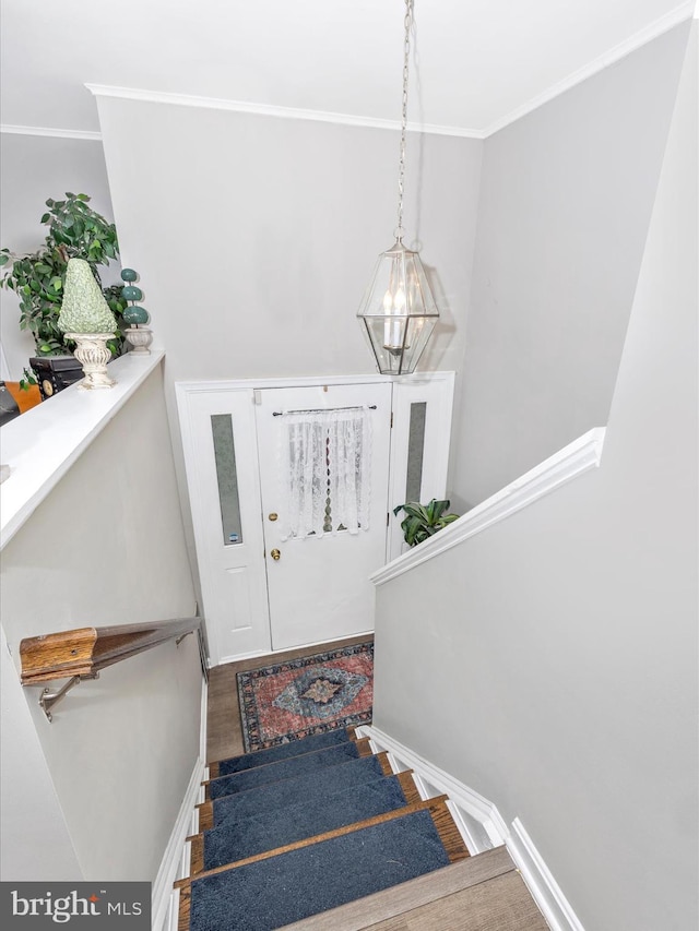 stairs featuring hardwood / wood-style flooring and crown molding