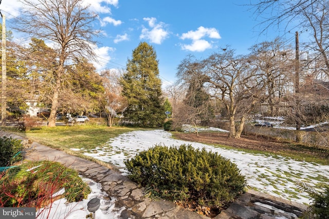 view of snowy yard