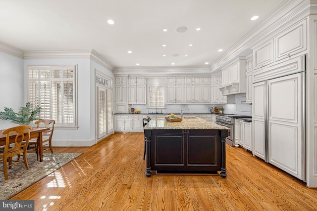 kitchen with white cabinetry, light stone countertops, a center island with sink, and premium appliances