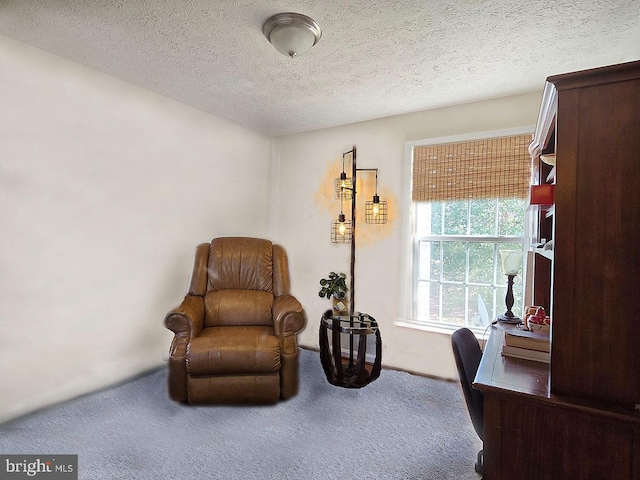 sitting room with carpet floors and a textured ceiling