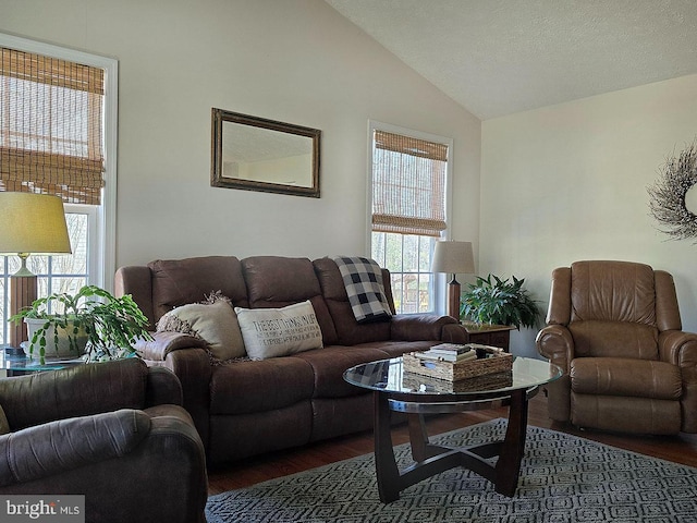 living room featuring lofted ceiling and dark hardwood / wood-style floors