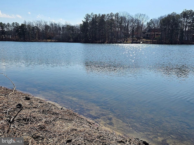 view of water feature