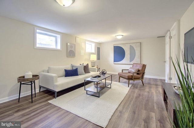 living room featuring wood-type flooring