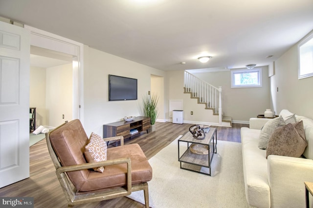 living room with wood-type flooring