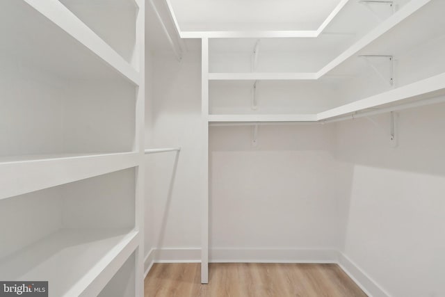 walk in closet with wood finished floors