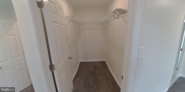 view of walk in closet