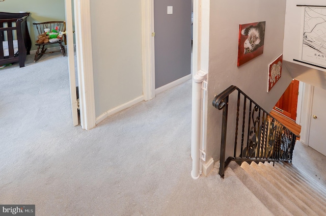 staircase featuring carpet floors