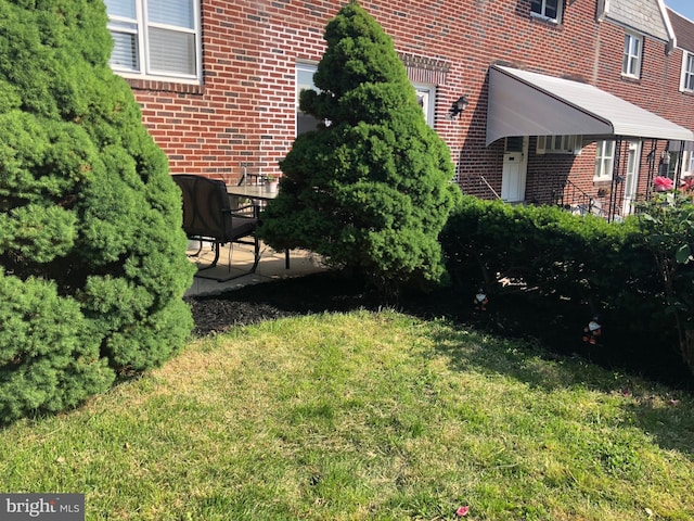 view of yard featuring a patio