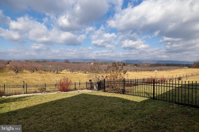 view of yard with a rural view