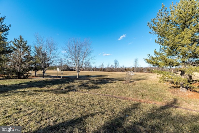 view of yard with a rural view