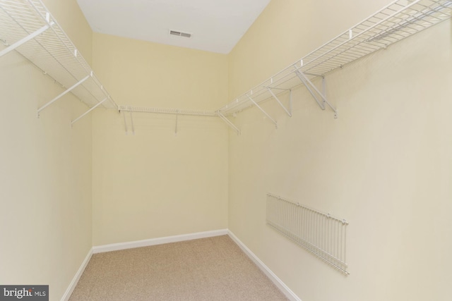 400 Symphony Cir Unit 136E, Cockeysville, MD 21030 - walk in closet featuring carpet flooring