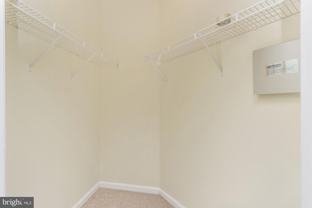 400 Symphony Cir Unit 136E, Cockeysville, MD 21030 - spacious closet with light carpet