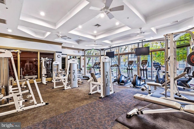 400 Symphony Cir Unit 136E, Cockeysville, MD 21030 - exercise room with ceiling fan, carpet floors, and coffered ceiling