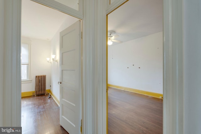 corridor with radiator heating unit and dark hardwood / wood-style flooring